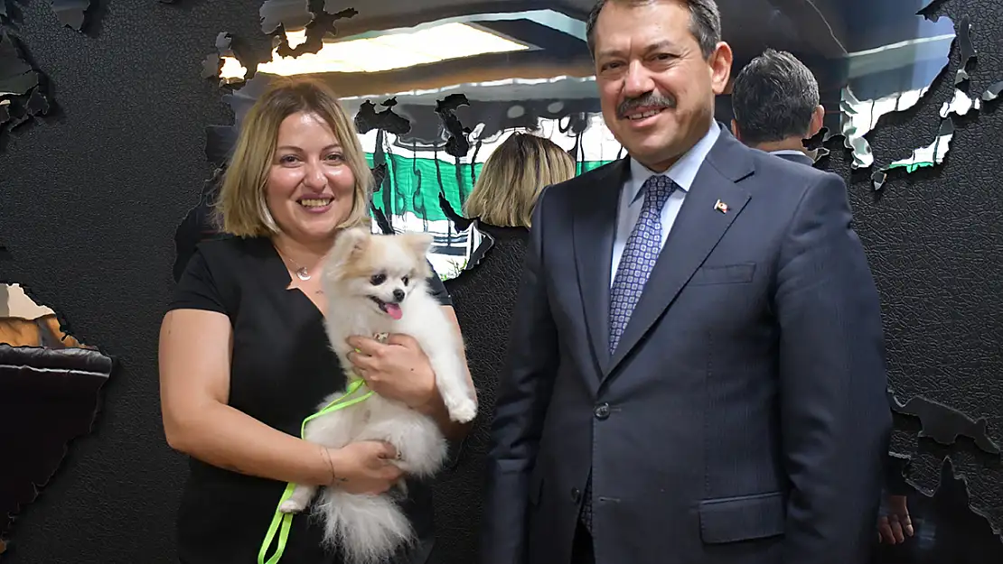 Eskişehir’de Şiddet Gören Köpeği Zabıt Kâtibi Sahiplendi