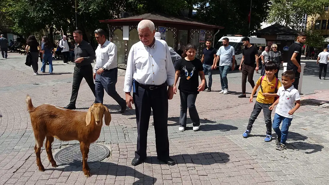 Evladı Gibi Sevdiği Keçiyi Yanından Ayırmıyor