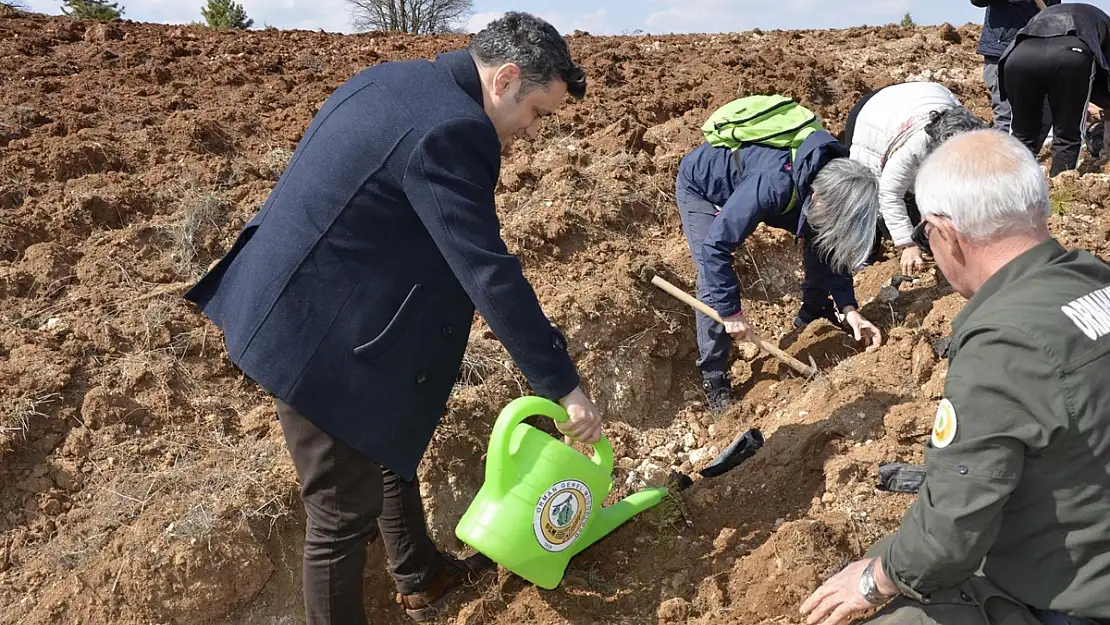 Fidanlar Gelecek Nesillere Yaşlıların Hatırasını Yaşatacak