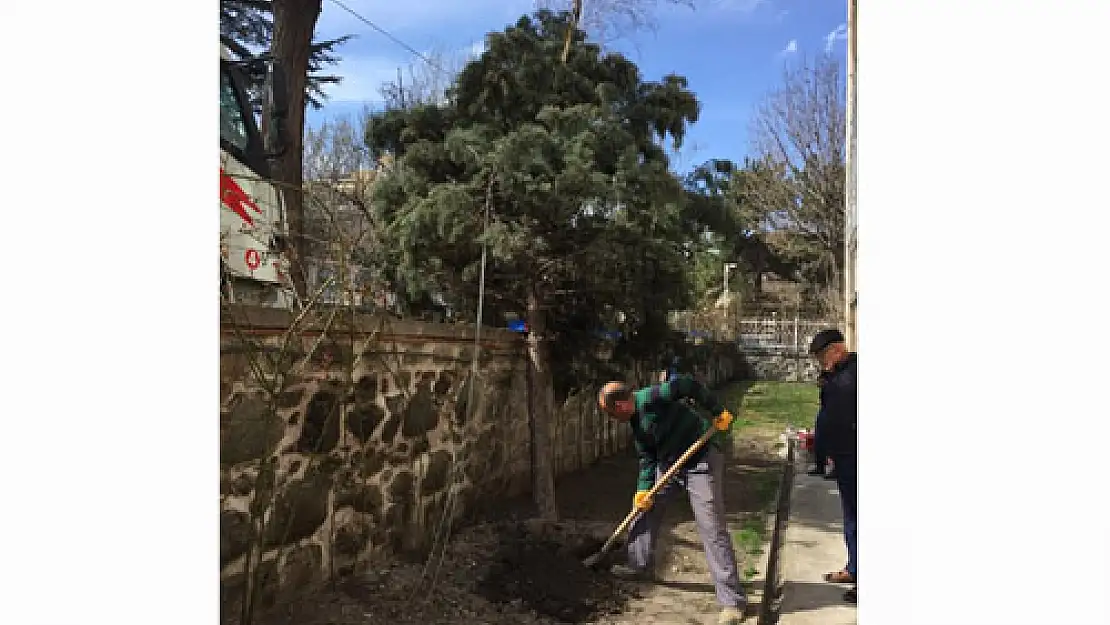 Fırtınanın devirdiği ağaç yeniden yerine dikildi