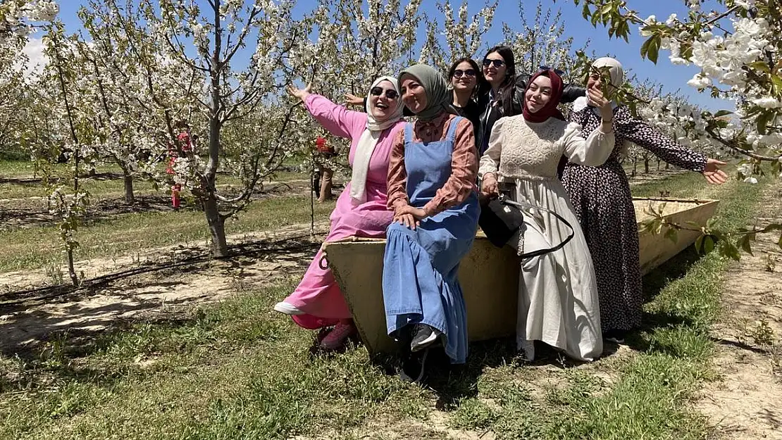 Fotoğrafçılar en güzel çiçek açan kirazı çekmek için birbirleri ile yarıştı