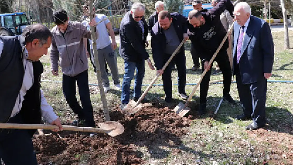 Gecek Termal'de 232 fidan toprakla buluştu