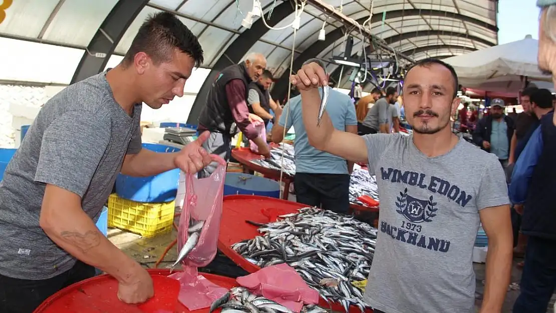 Hamsi, balık tezgahlarını süsledi