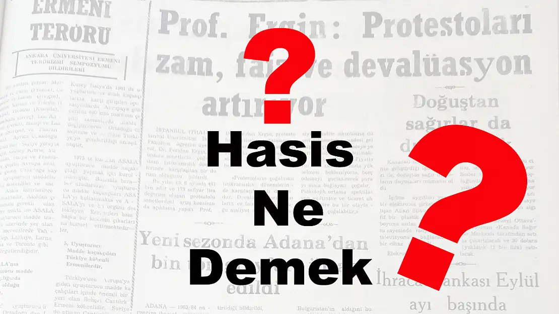 Hasis Ne Demek?