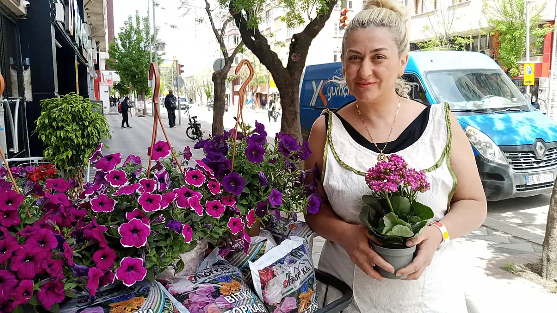 Havaların Isınmasıyla Birlikte Yazlık Çiçek Satışları Başladı