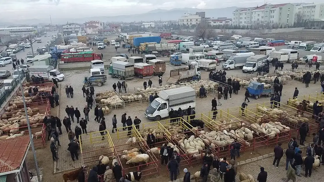 Hayvan pazarında kış mevsimi olması rağmen alışverişler hızlandı