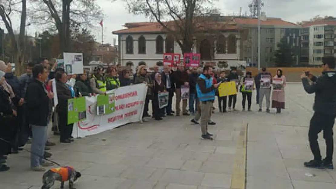 “Hayvanların yaşam hakkı için mücadele edeceğiz”