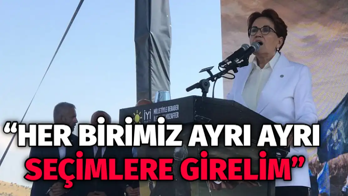 'Her birimiz ayrı ayrı seçimlere girelim'