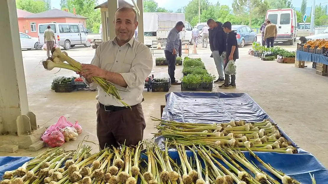 Hisarcık'ta yerli sarımsak çıktı, fiyatlar düştü