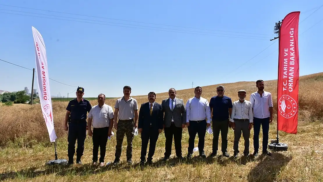 İnönü'de üretimine başlanan kanolada ilk hasat sevinci