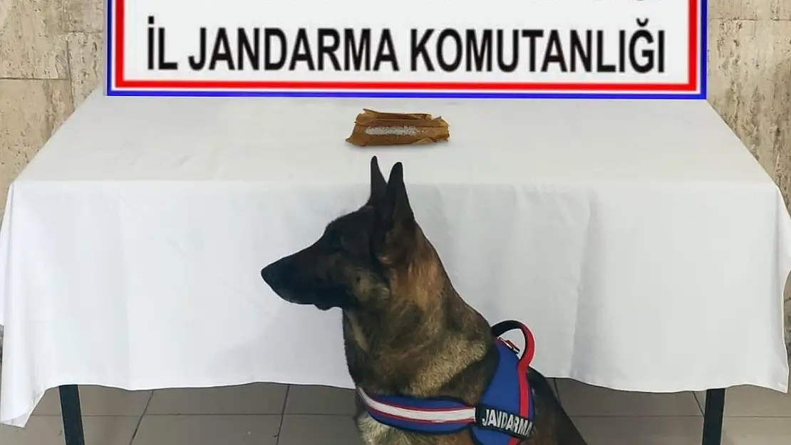 Jandarma 3 kişiyi gözaltına aldı, 2 gram metamfetamin ele geçirdi