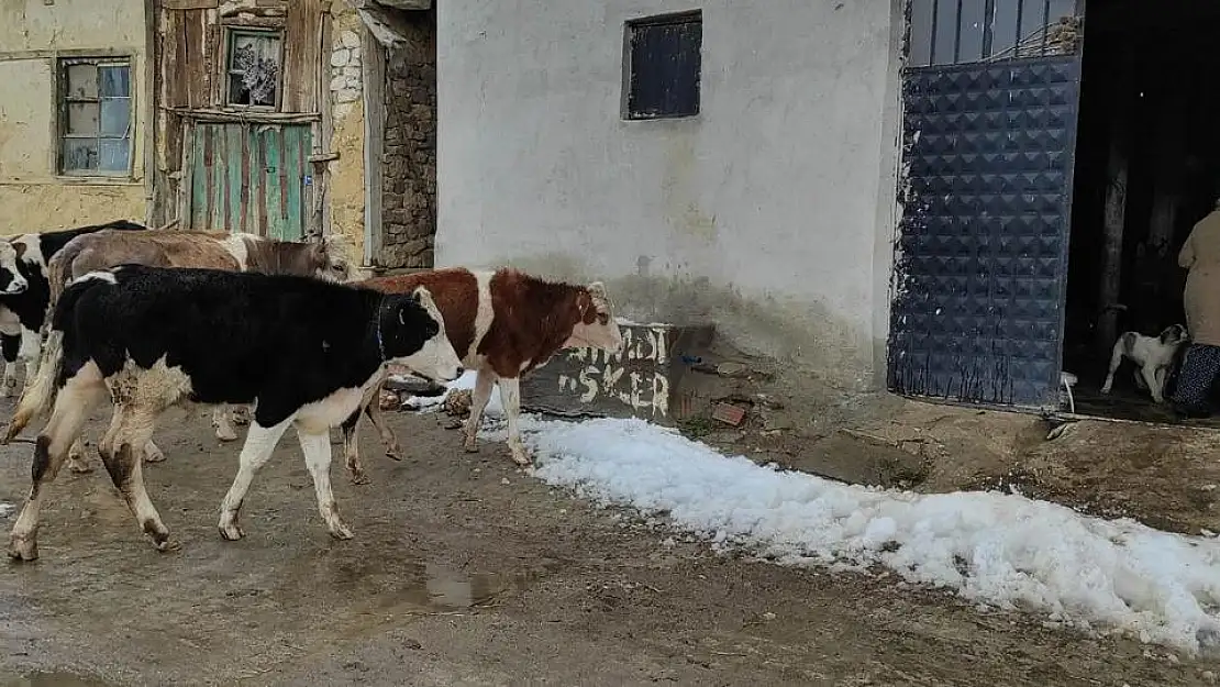 Jandarma il coğrafyasının her noktasına hakim