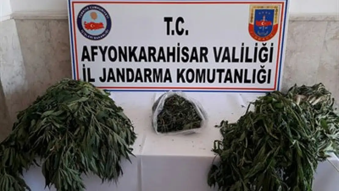 Jandarma yine yakaladı – Kocatepe Gazetesi