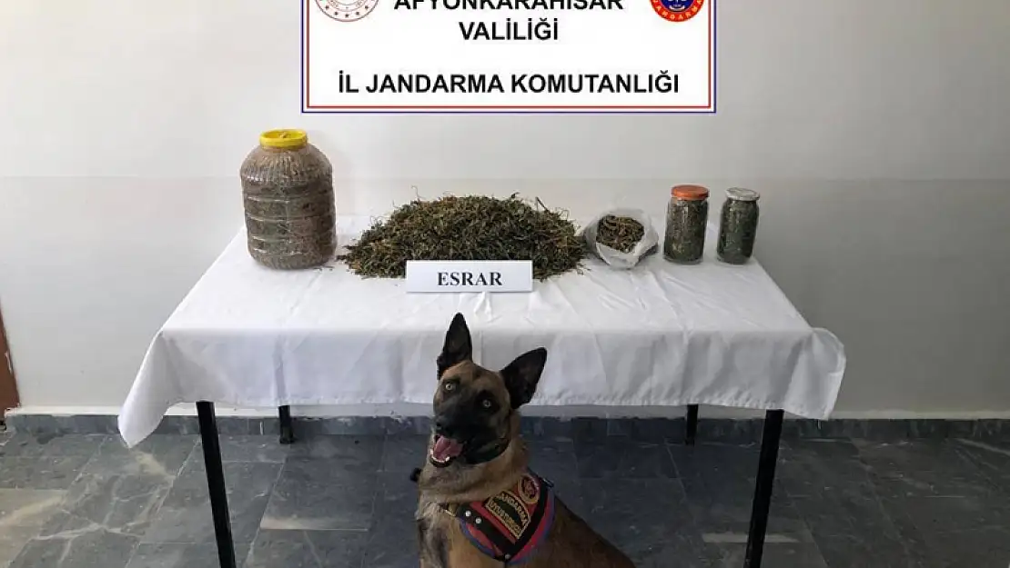 Jandarmadan O İlçede Uyuşturucu Operasyonu