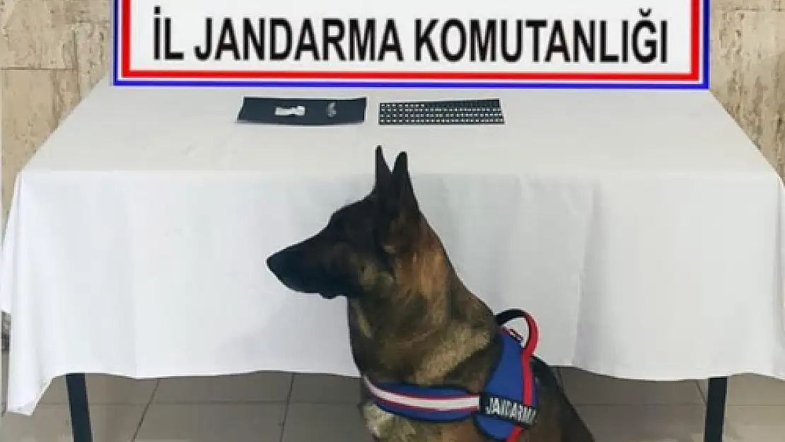 Jandarmadan  uyuşturucu operasyonu