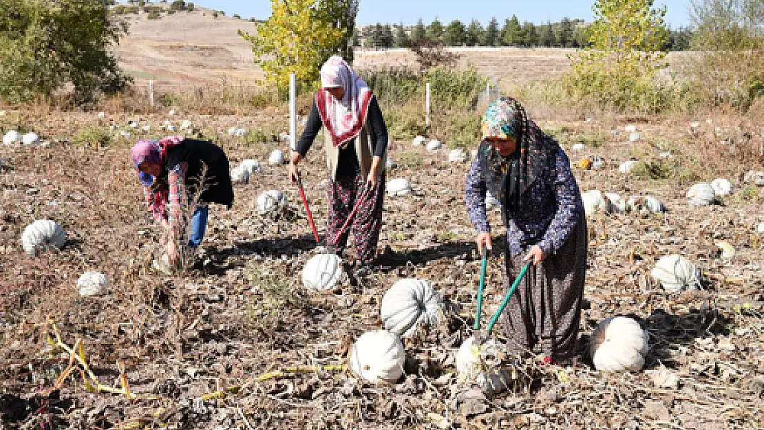 Kadınlar ürünlerini tanıtmanın gururunu yaşıyor