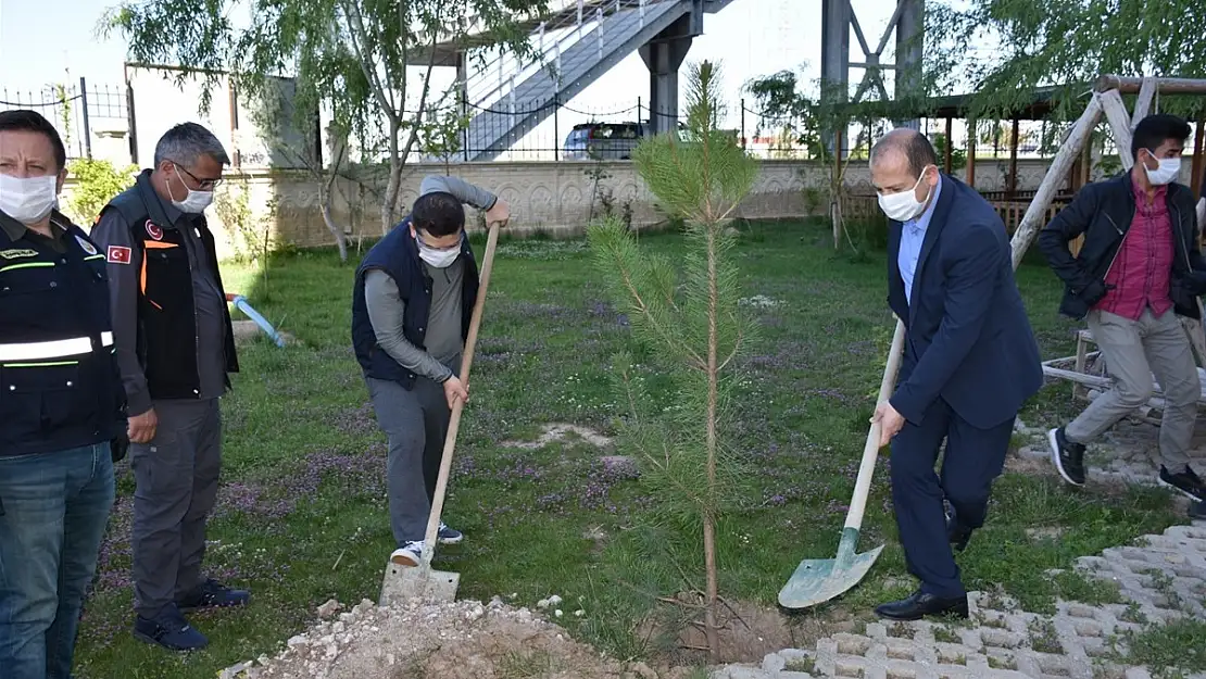 Karantinada ağaç diktiler