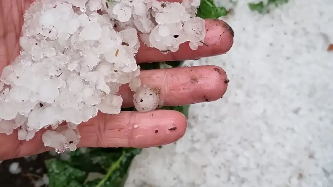 Karayolu ve tarım arazileri sel suları altında kaldı