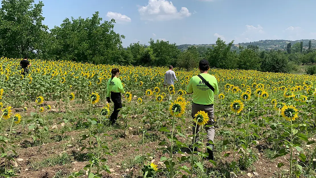 Kayıp Çoban Dün Akşamdan Beri Aranıyor