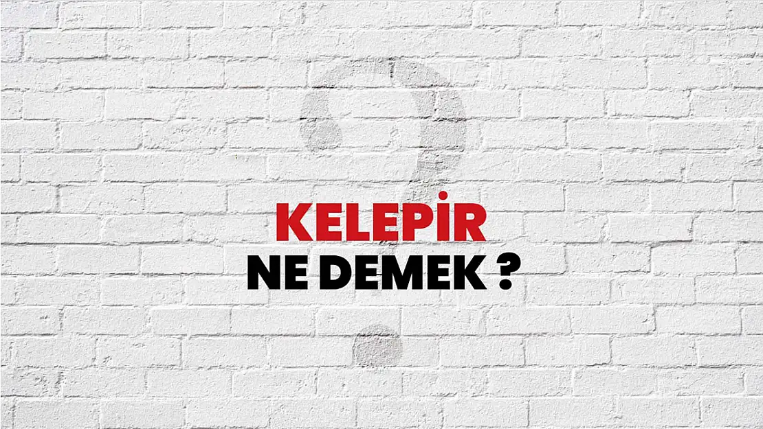 Kelepir Ne Demek