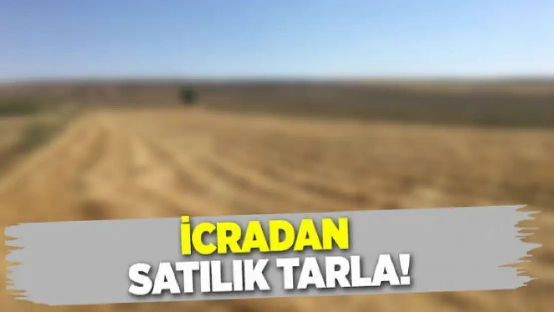 Kiraz bahçesi satılacak