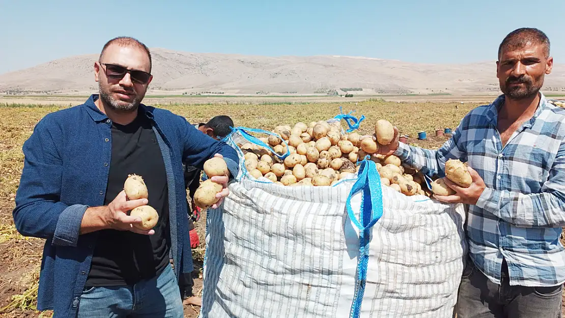 Kışlık ‘Agria’ Cinsi Patateste Hasat Başladı