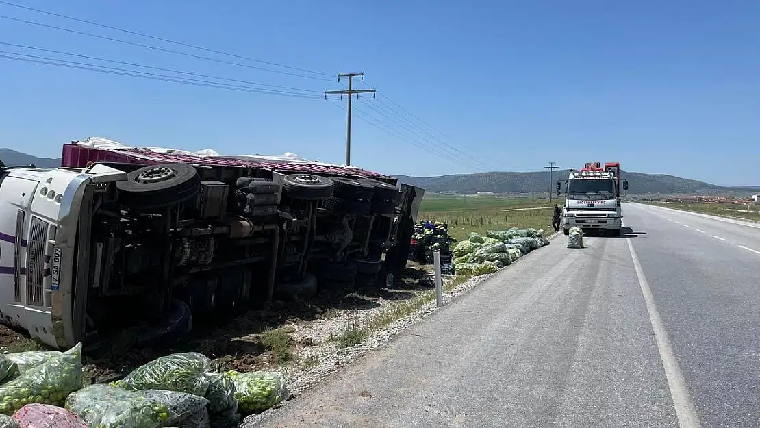 Kontrolden çıkan dolmalık biber yüklü kamyon refüje devrildi