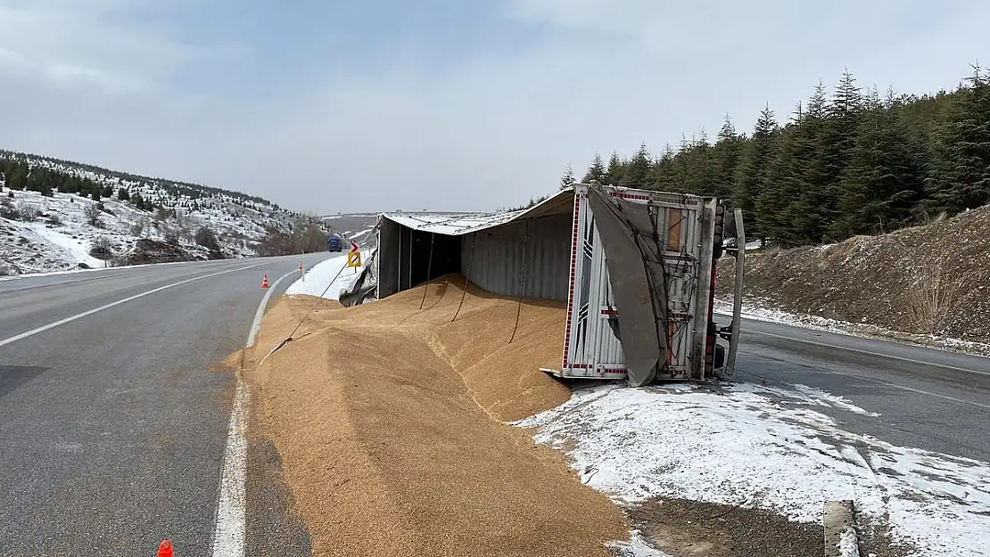 Kontrolden çıkan tır devrildi, 25 ton buğday yola saçıldı