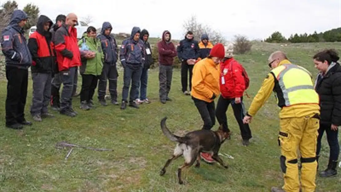 Köpekli doğa araması gerçekleştirildi – Kocatepe Gazetesi