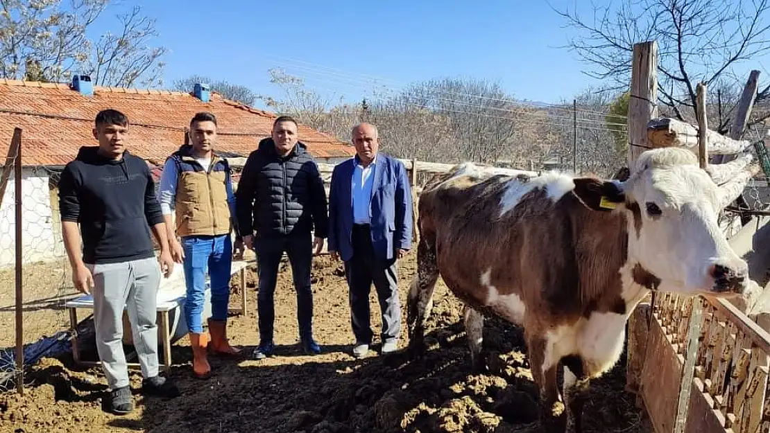 Köy muhtarı depremzedeler için büyükbaş hayvan bağışladı