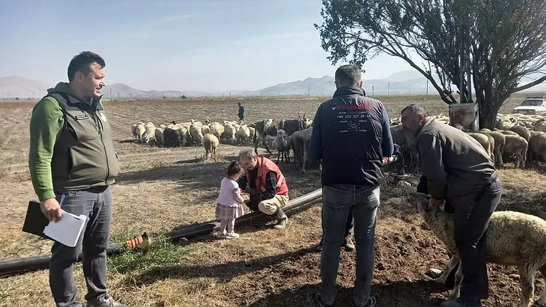 Koyun Vebasına Karşı Kan Örnekleri Alındı