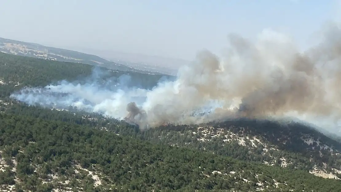 Kütahya'da orman yangını