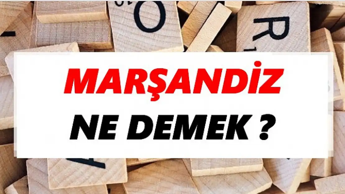 Marşandiz ne demek? Marşandiz kelimesinin anlamı nedir?