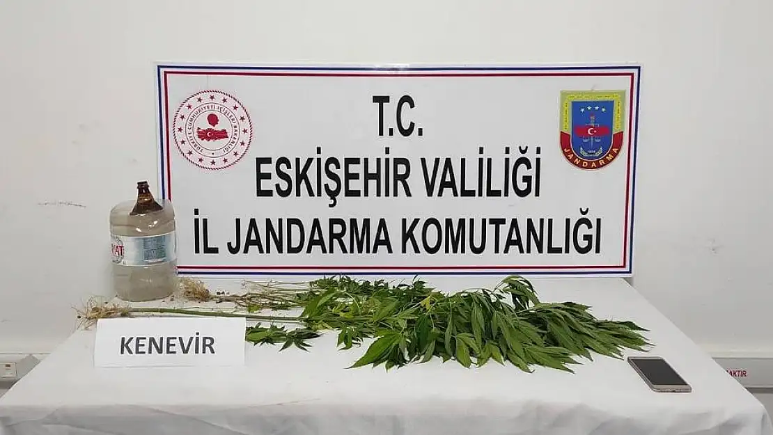 Mezarlığa kenevir eken şahıs yakayı ele verdi