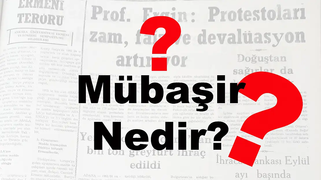 Mübaşir Nedir?