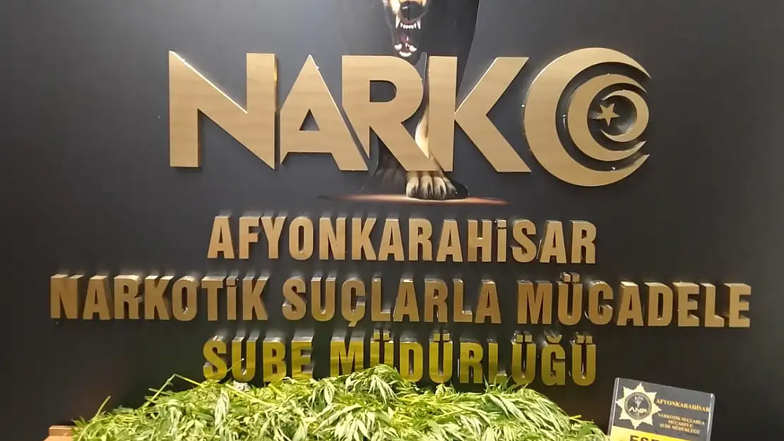 Narkotik Şube'den uyuşturucu operasyonu