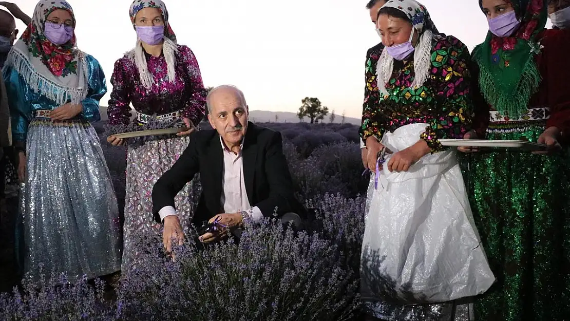 Numan Kurtulmuş, 'Lavanta Hasat Şenliği'ne katıldı