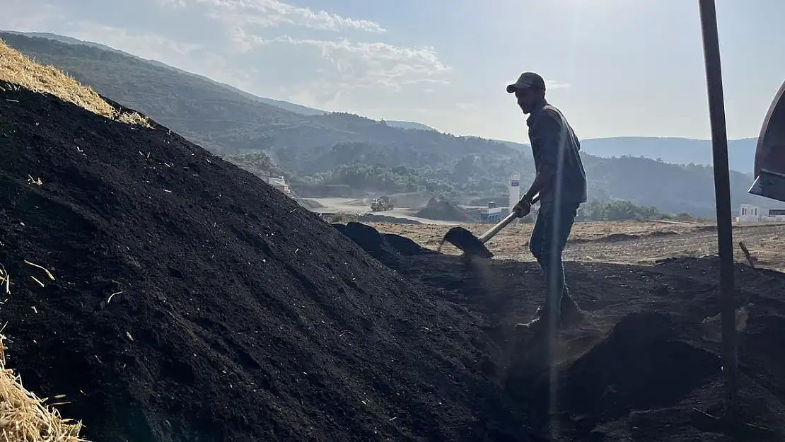 Odun öbeklerinin karşısından günlerce süren kömür nöbeti