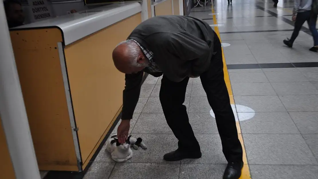 Otogarı mesken edinen ‘Paskal’ yazıhanenin maskotu haline geldi