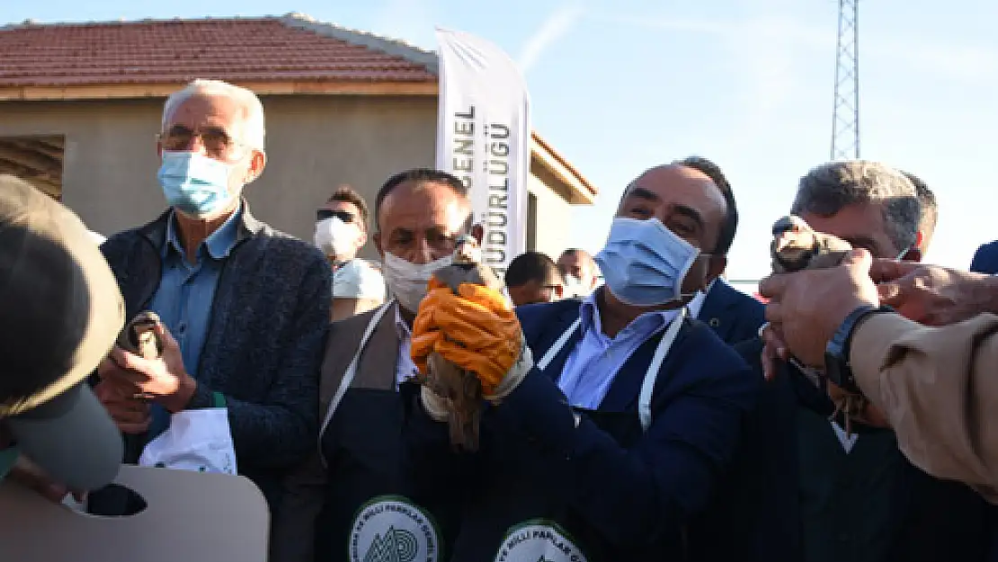 Özkaldı Afyon’daki yatırımları inceledi