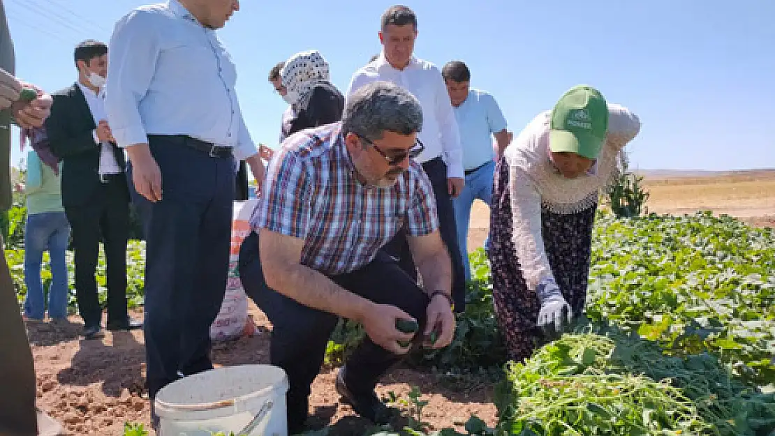 Özkaya vatandaşları dinledi, sorunları yerinde tespit etti