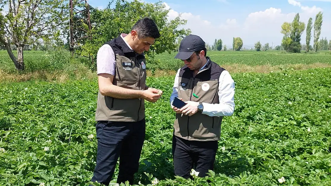 Patates üreticilerine o hastalığa karşı dikkatli olun uyarısı