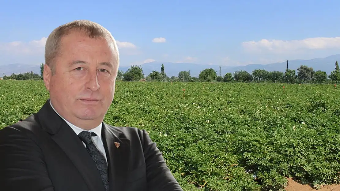 'Patates üreticisi mantar hastalığının pençesinde'