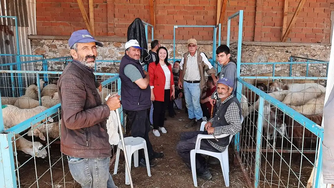 Pazaryeri'nde kurban satış noktası denetlendi