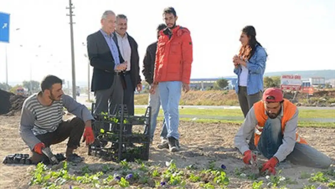 Peyzaj çalışmaları sürüyor – Kocatepe Gazetesi