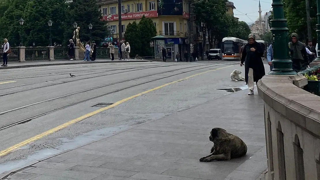 Sabah Etkili Olan Yağmur Kent Merkezinin Boş Kalmasına Sebep Oldu