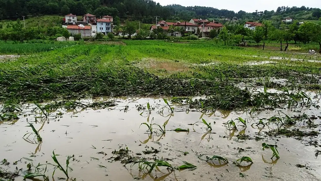 Sağanak yağış sonrası tarım arazileri sular altında kaldı