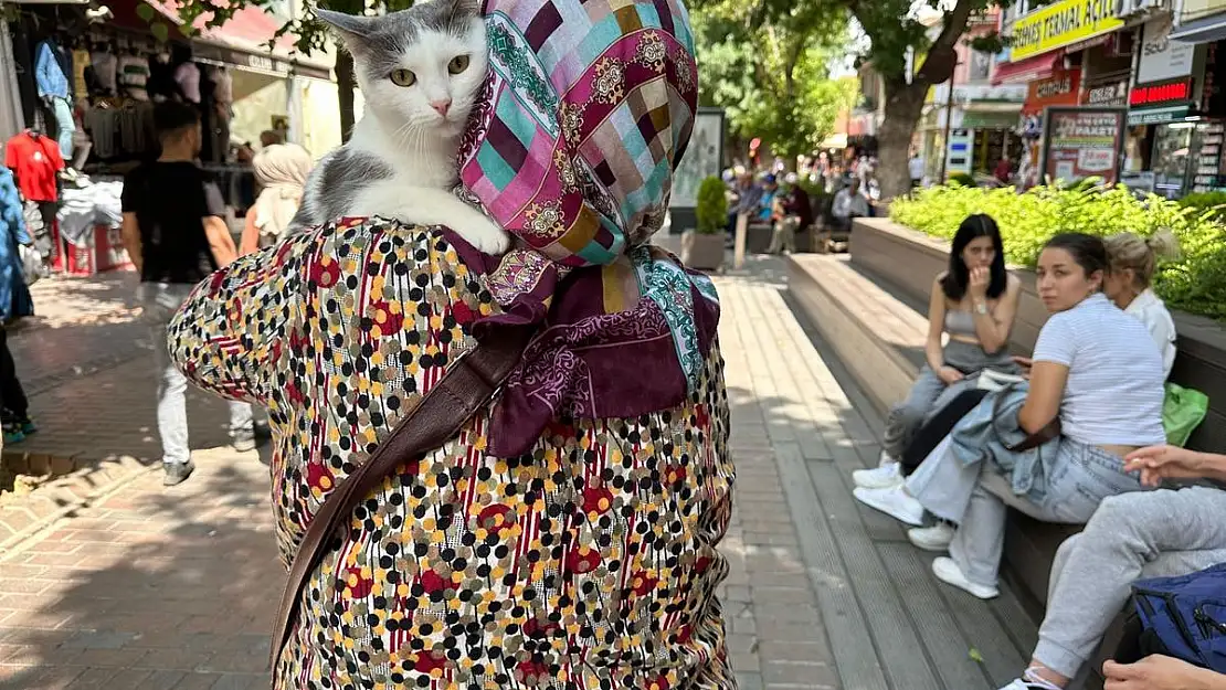 Sahibinin kucağında Eskişehir'i gezen Boncuk ilgi odağı