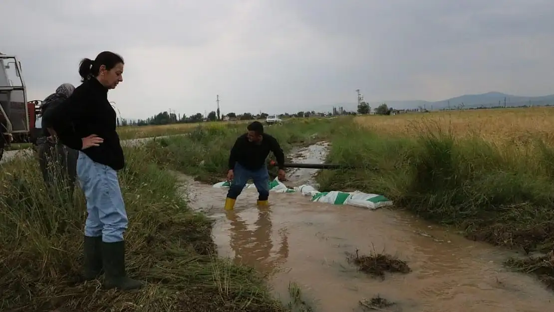 Sandıklı'da sağanak yağış tarım arazilerine zarar verdi