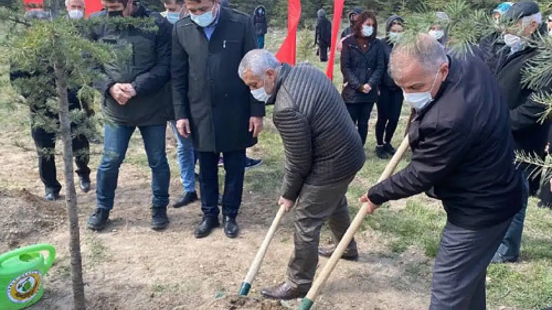 Şehit Karadirek’in adı bu ormanda yaşıyacak